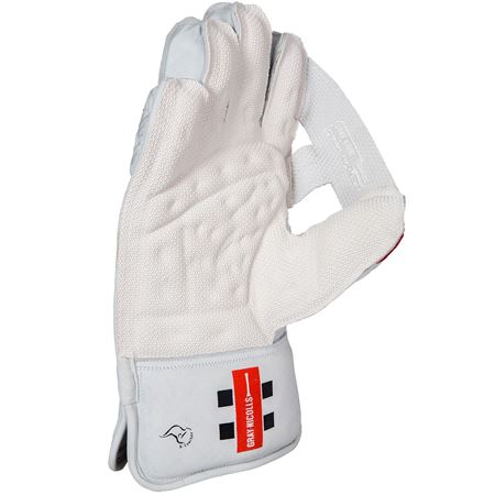 Picture for category Wicket Keeping Gloves