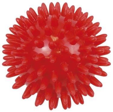 Picture of Urban Fitness Massage Ball