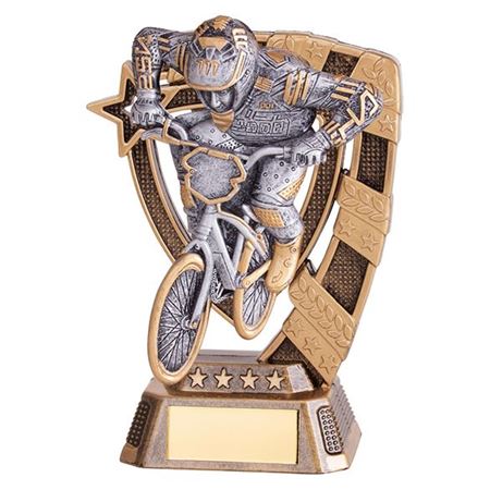 Picture for category Cycling Awards