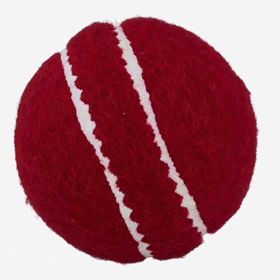 Picture of Readers Allplay Red Training Youths Cricket Ball