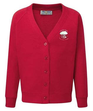 Picture of Chester Park School Cardigan