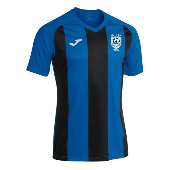 Picture of Hallen AFC Home Shirt
