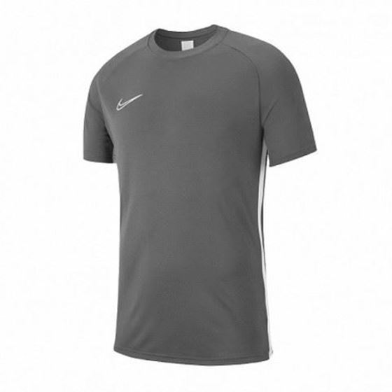 Picture of Nike Dri-FIT Academy 19 Short Sleeve Top