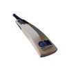 Picture of Gunn & Moore Brava DXM 606 Cricket Bat