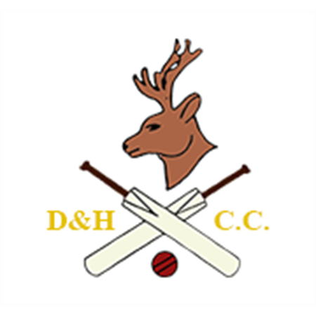 Picture for category Dyrham & Hinton Cricket Club