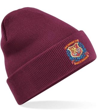 Picture of DRG Frenchay AFC Beanie - Maroon